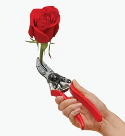 Hot Felco #100 Cut-&-Hold Pruner Pruners