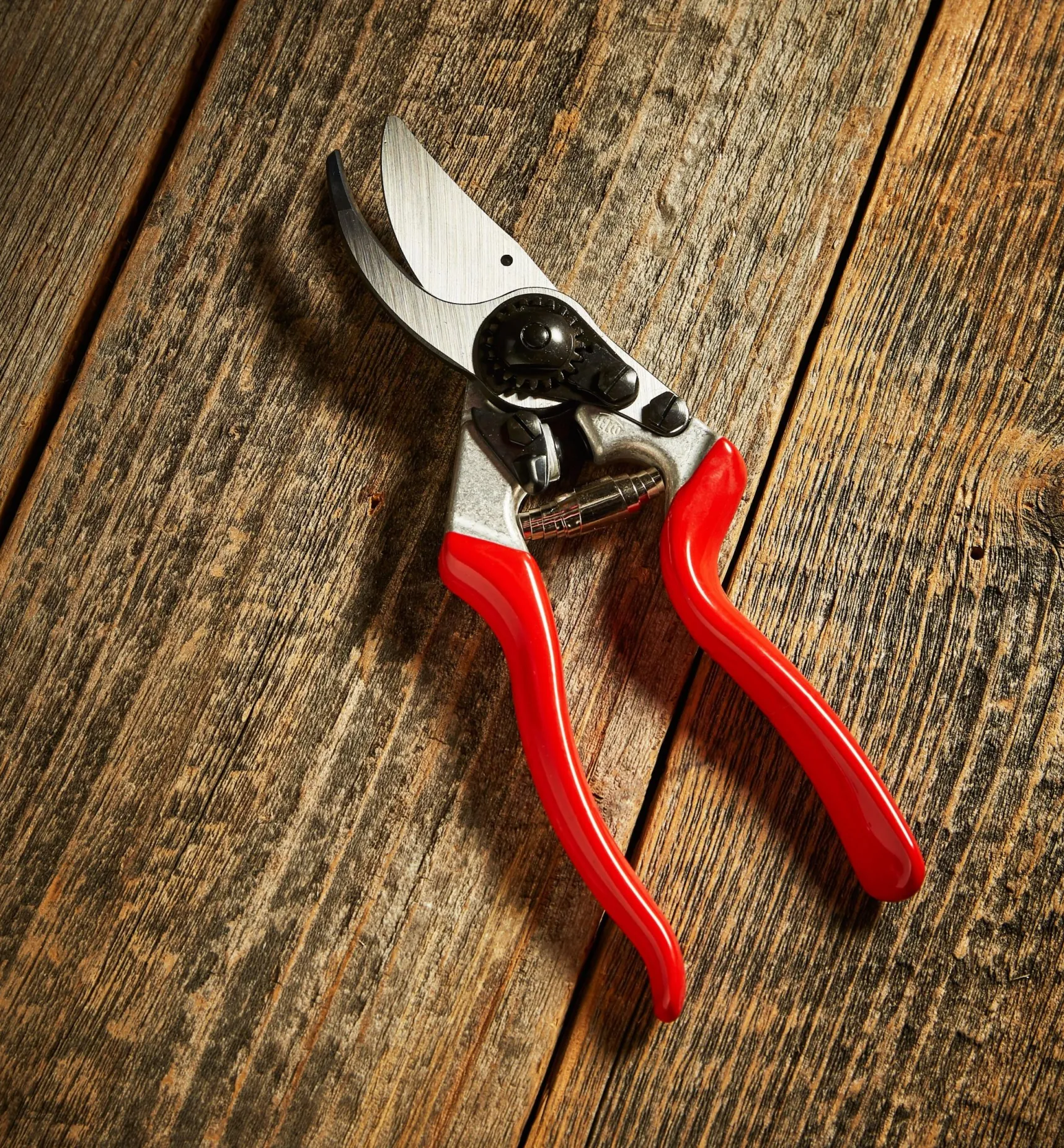 Outlet Felco #8 Pruner Pruners