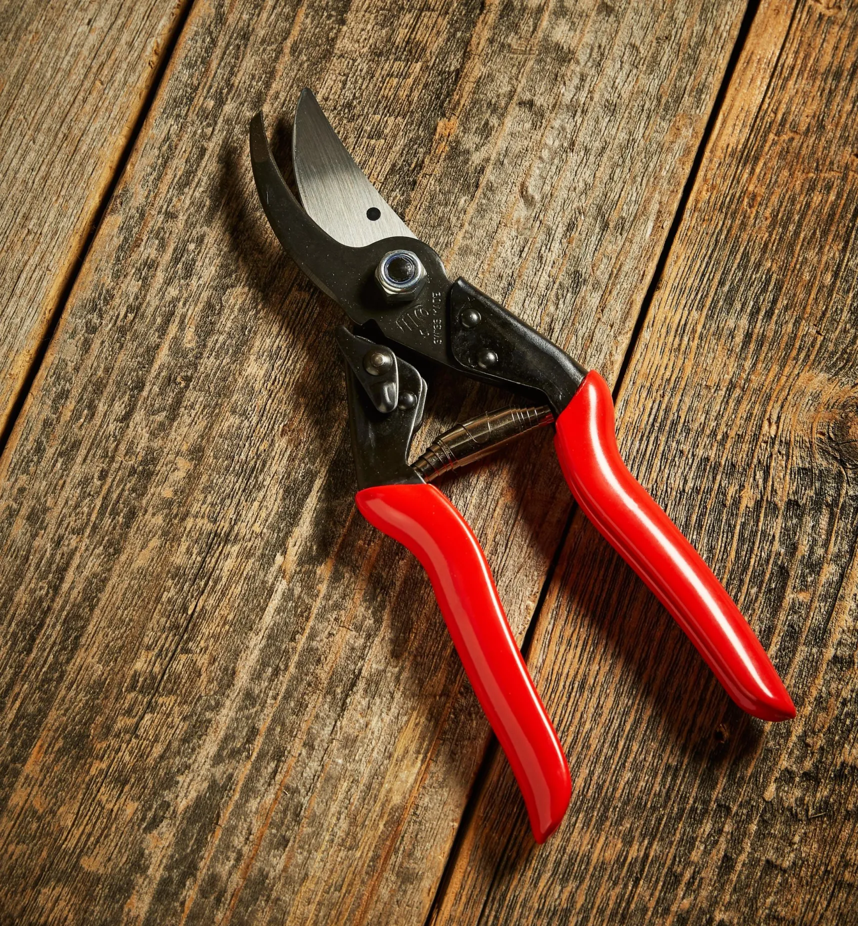 Outlet Felco #5 Pruner Pruners