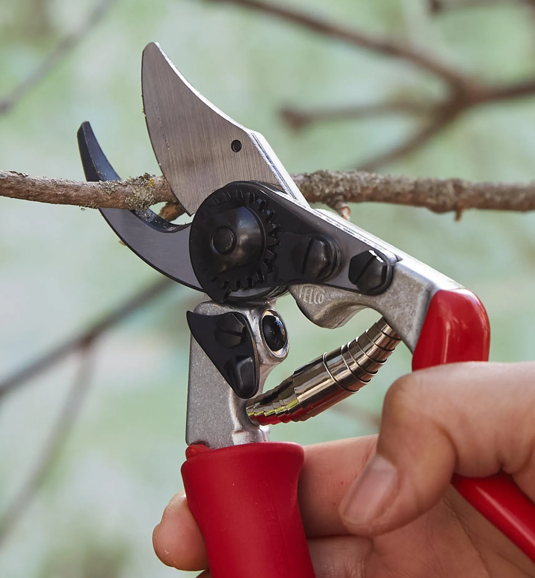Felco #15 Pruner Pruners
