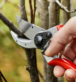 Discount Felco Classic #2 Pruner & Pocket Knife Pruners