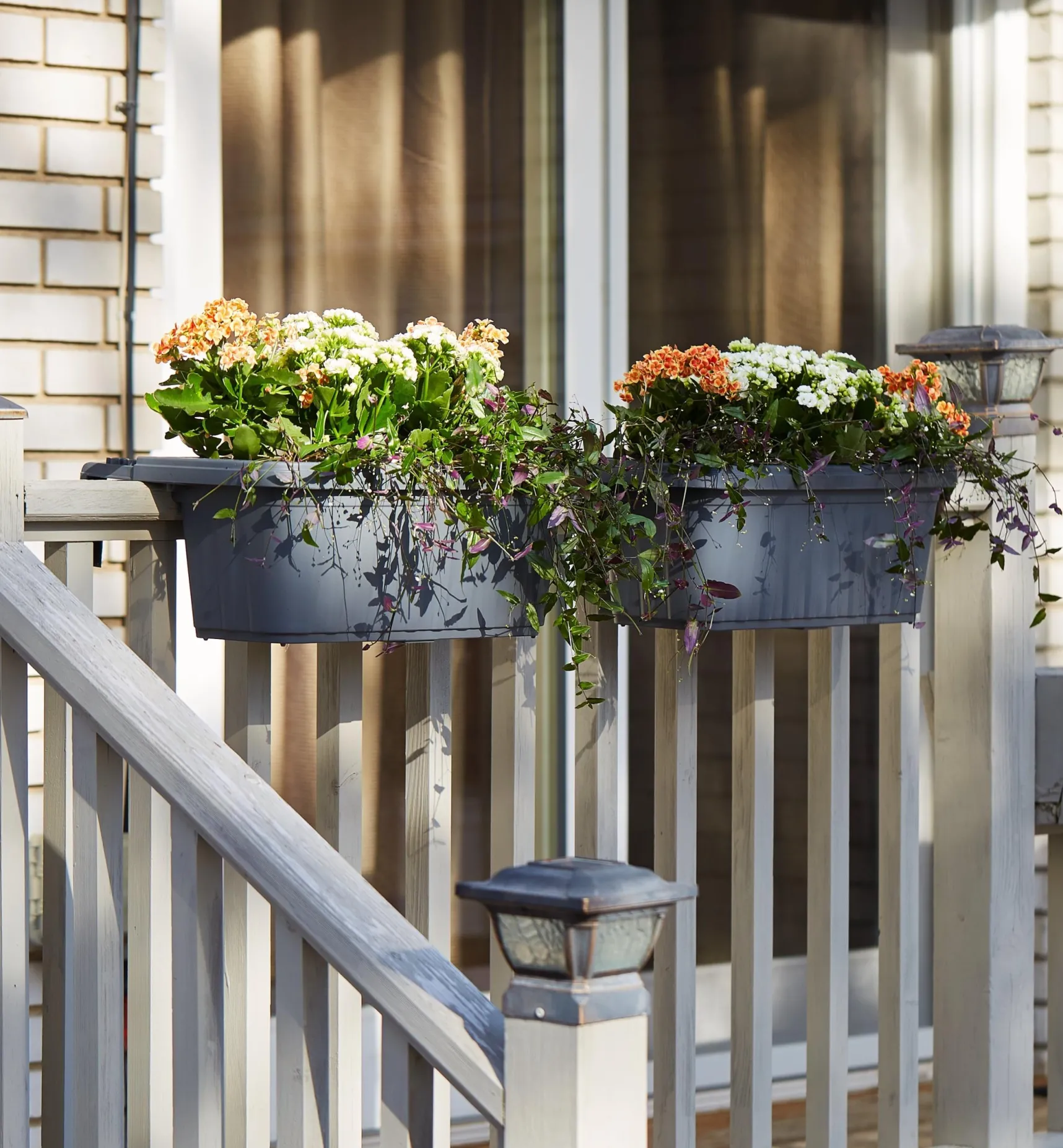 Online Fence & Railing Planters Container Gardening