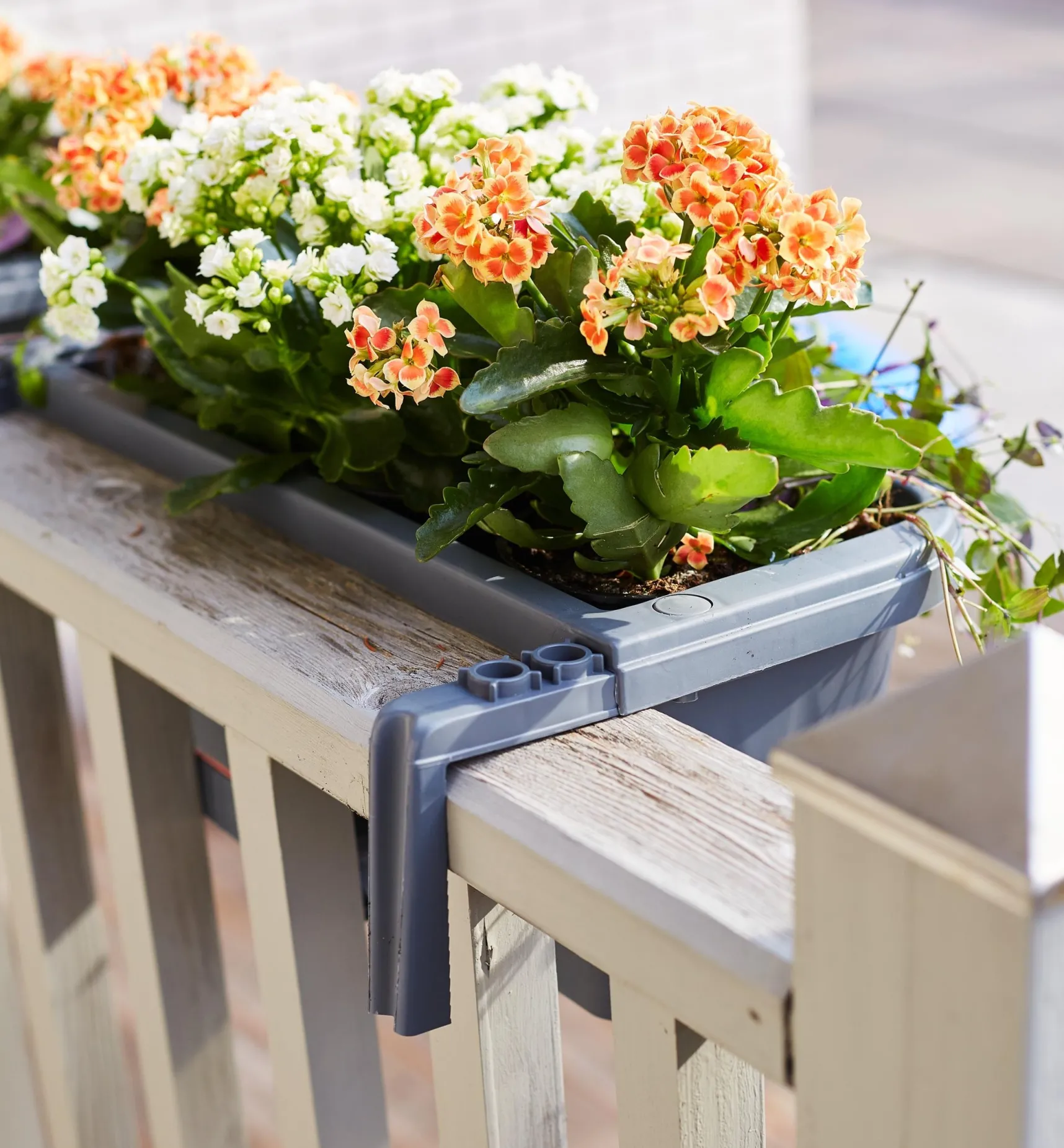 Online Fence & Railing Planters Container Gardening