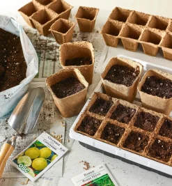 Outlet Fiber Pots Seed Starting