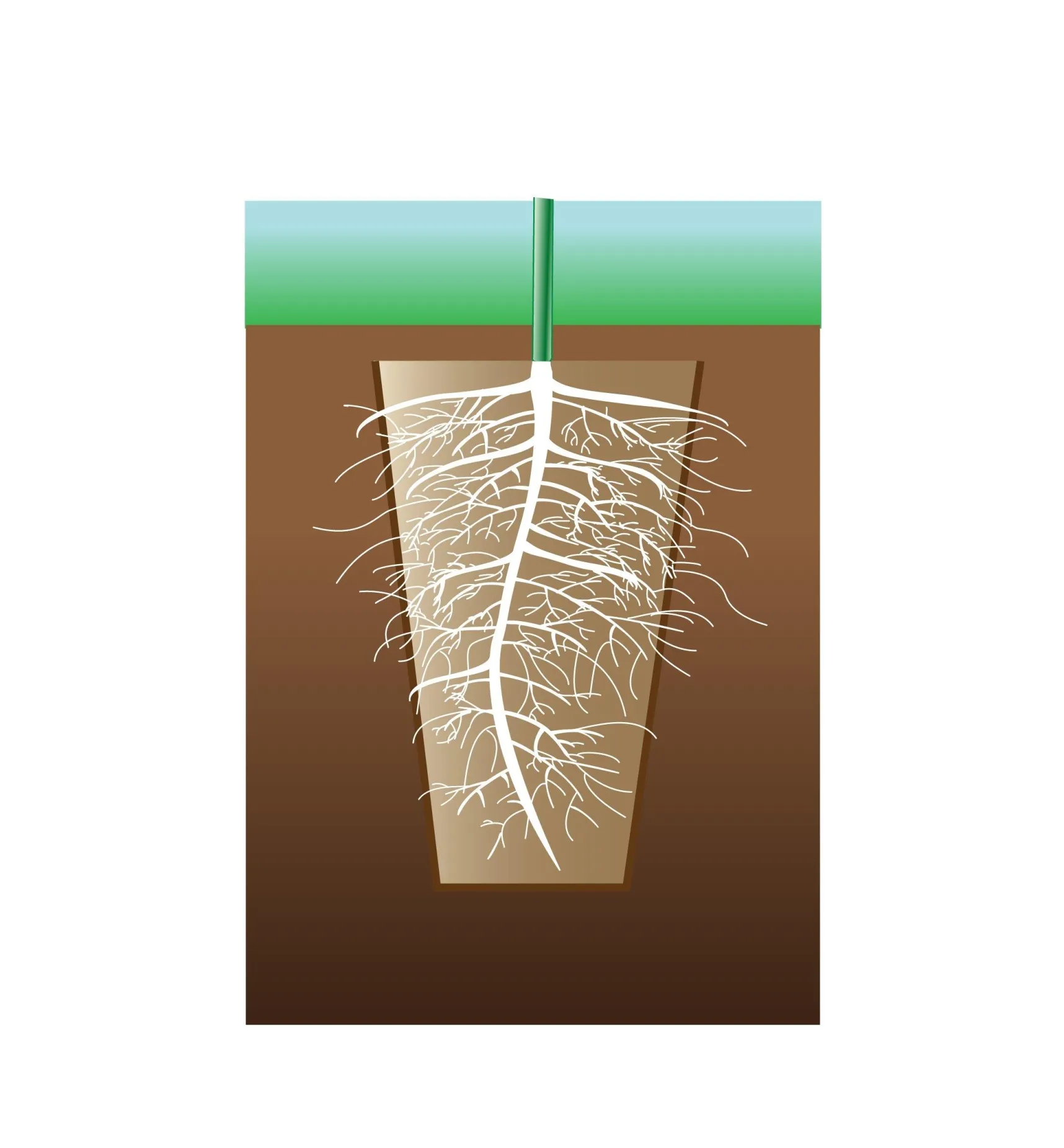 Outlet Fiber Pots Seed Starting