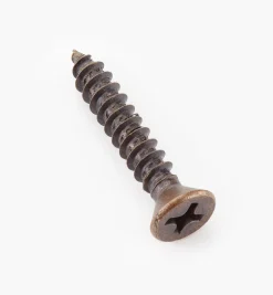 Outlet Finished Steel Screws Screws