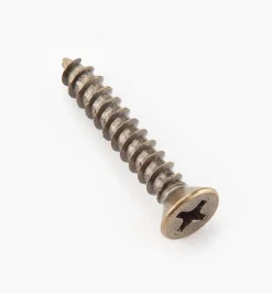 Outlet Finished Steel Screws Screws