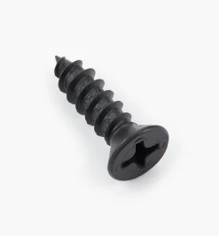 Outlet Finished Steel Screws Screws
