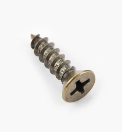 Outlet Finished Steel Screws Screws