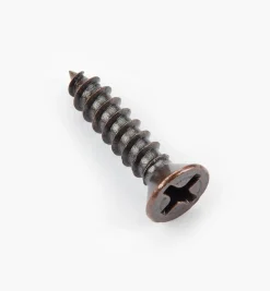 Outlet Finished Steel Screws Screws