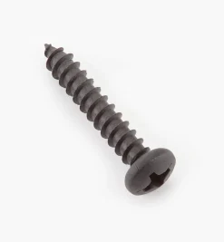Outlet Finished Steel Screws Screws