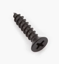 Outlet Finished Steel Screws Screws