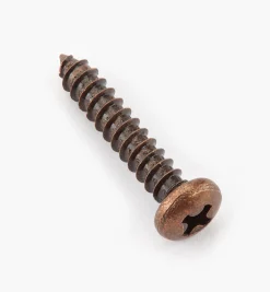 Outlet Finished Steel Screws Screws