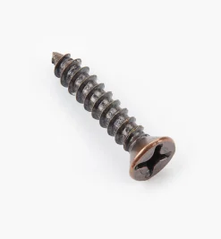 Outlet Finished Steel Screws Screws