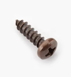 Outlet Finished Steel Screws Screws