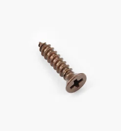 Outlet Finished Steel Screws Screws