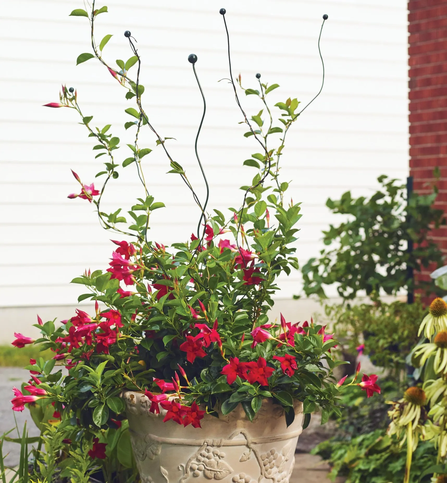 Best Flexible Garden Stake Stakes