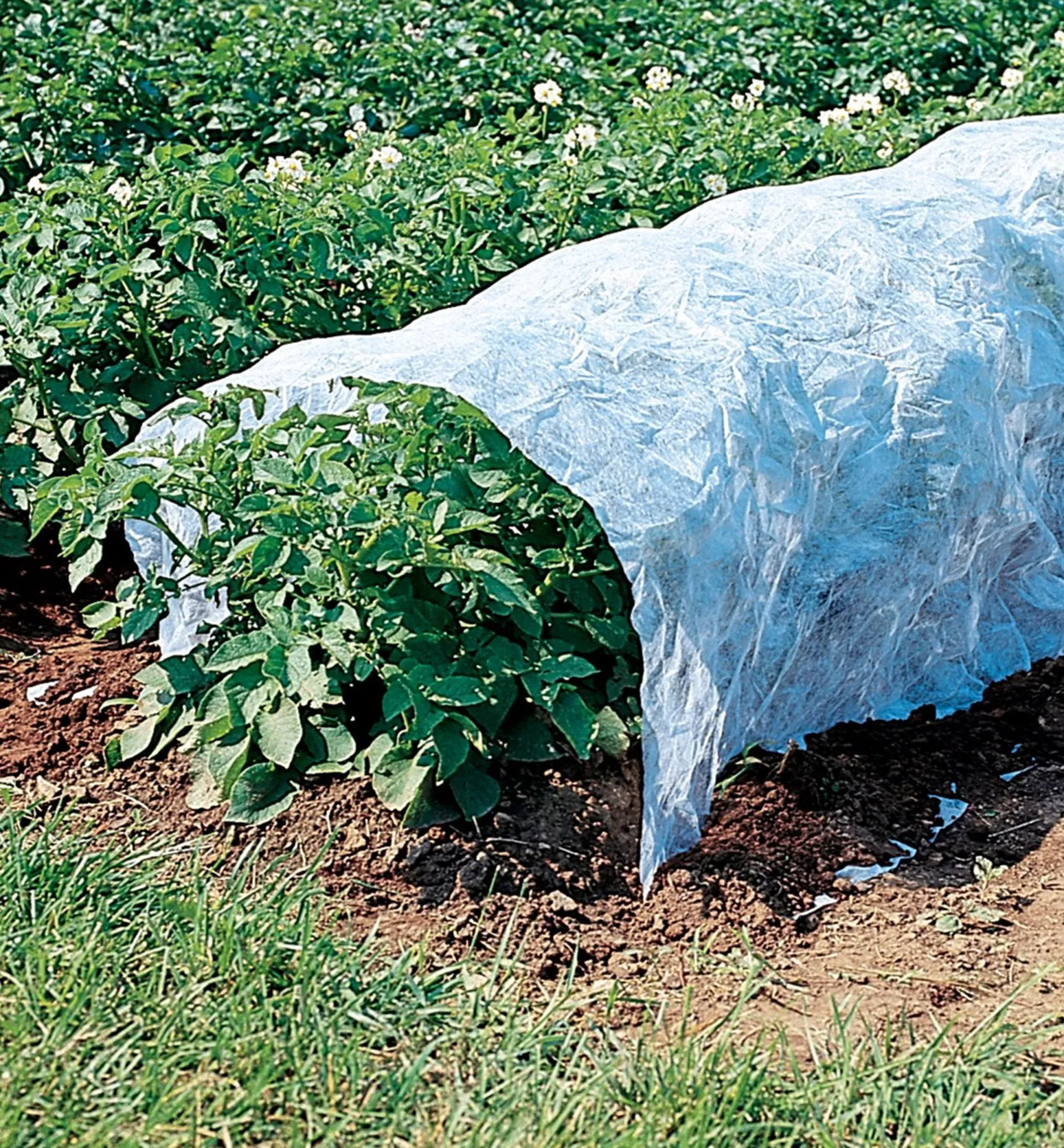 Clearance Floating Row Cover Plant Protection