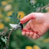 Best Forged Pocket Pruner Pruners