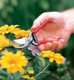 Best Forged Pocket Pruner Pruners