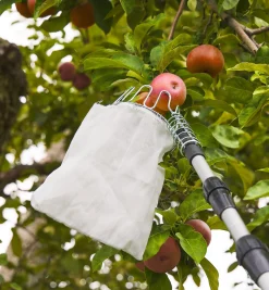 Sale Fruit Picker Harvesting