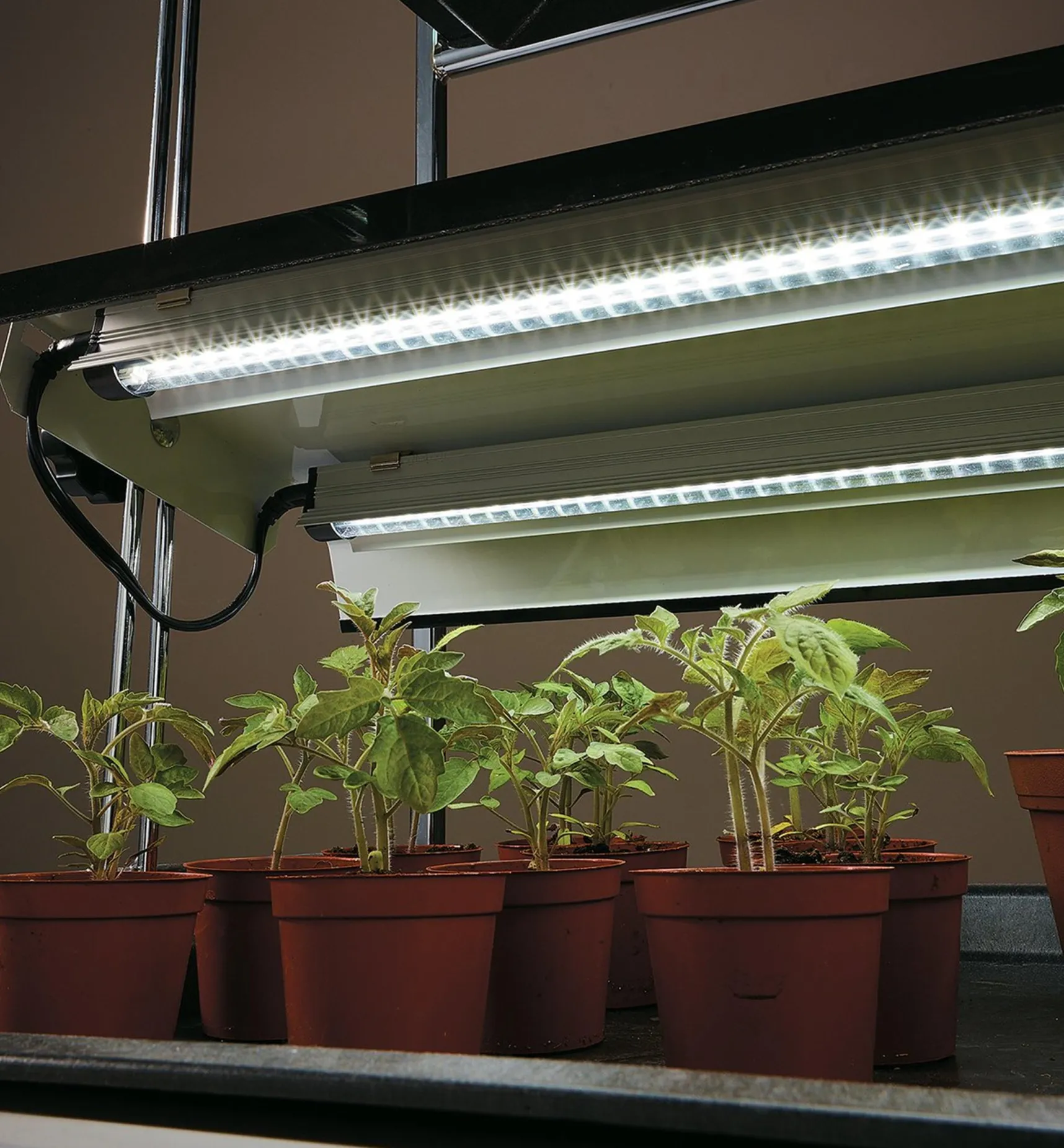 New Full-Spectrum LED Grow Lights Grow Lights