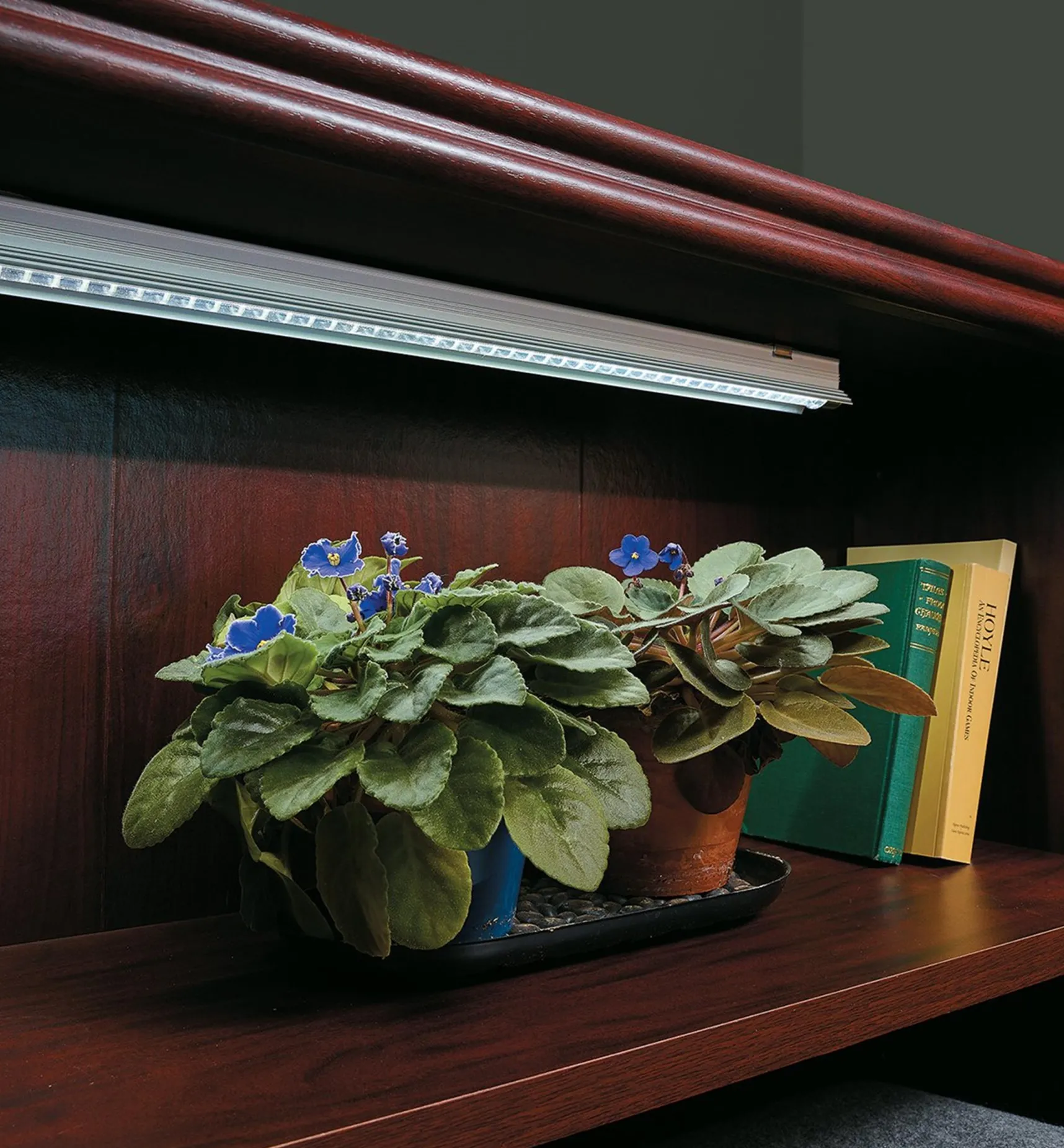 New Full-Spectrum LED Grow Lights Grow Lights