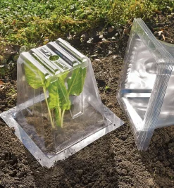 Hot Garden Cloches Plant Protection