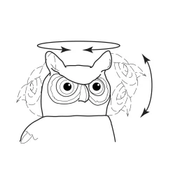 Hot Garden Scare Owl Pest Control