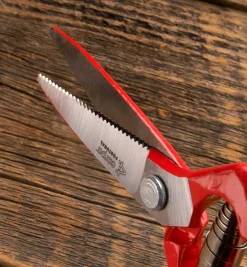 Discount General-Purpose Pruner & Shears Set Pruners