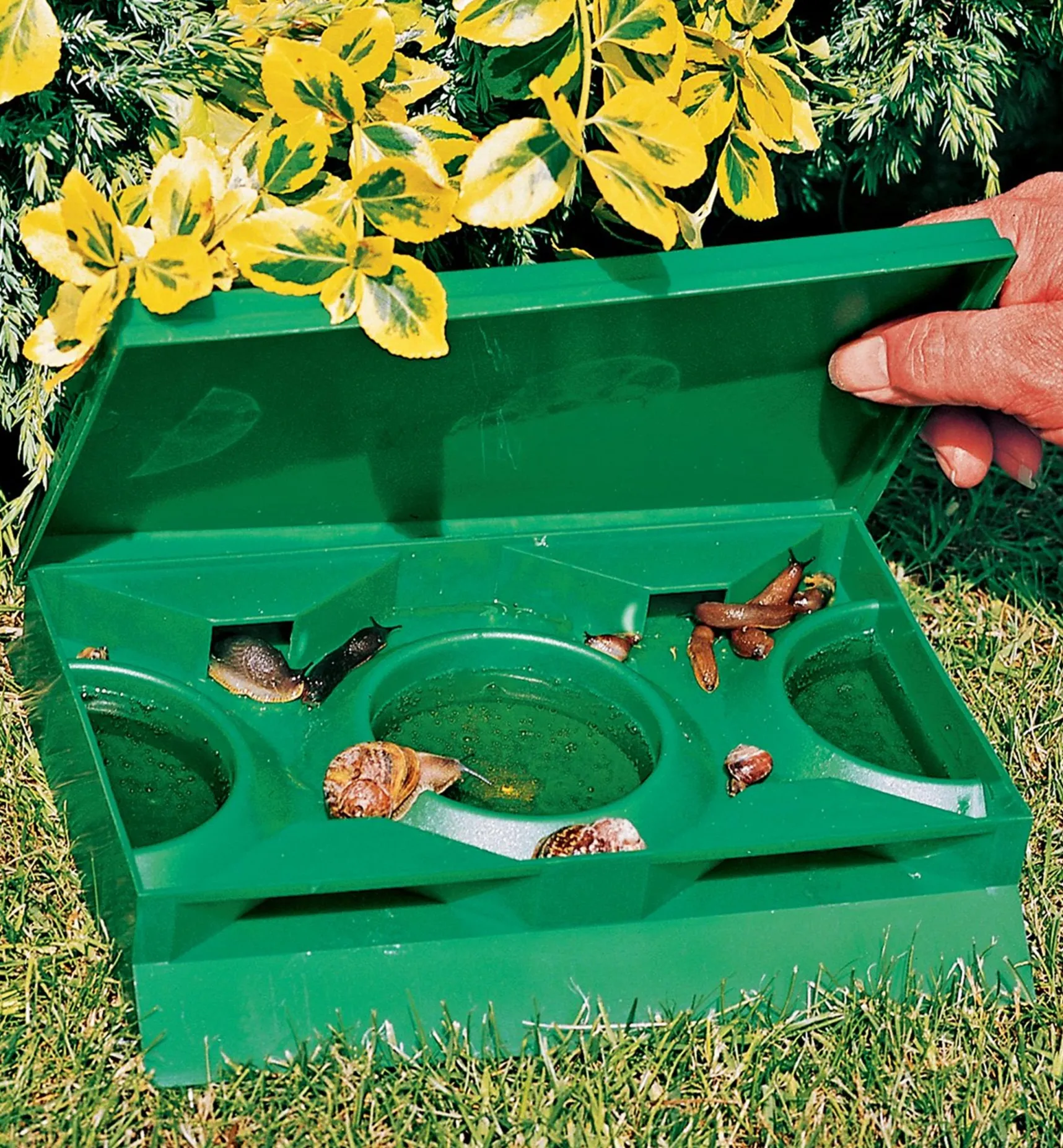 Giant Slug & Snail Trap Pest Control