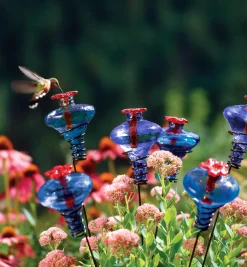 Sale Glass Flower Hummingbird Feeder Birding
