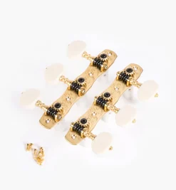 Hot Gotoh Tuning Machines Project Supplies