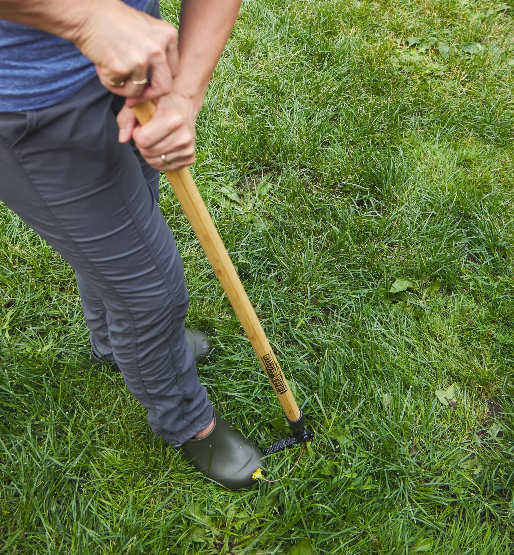 Best Grampa's Weeder Weeding