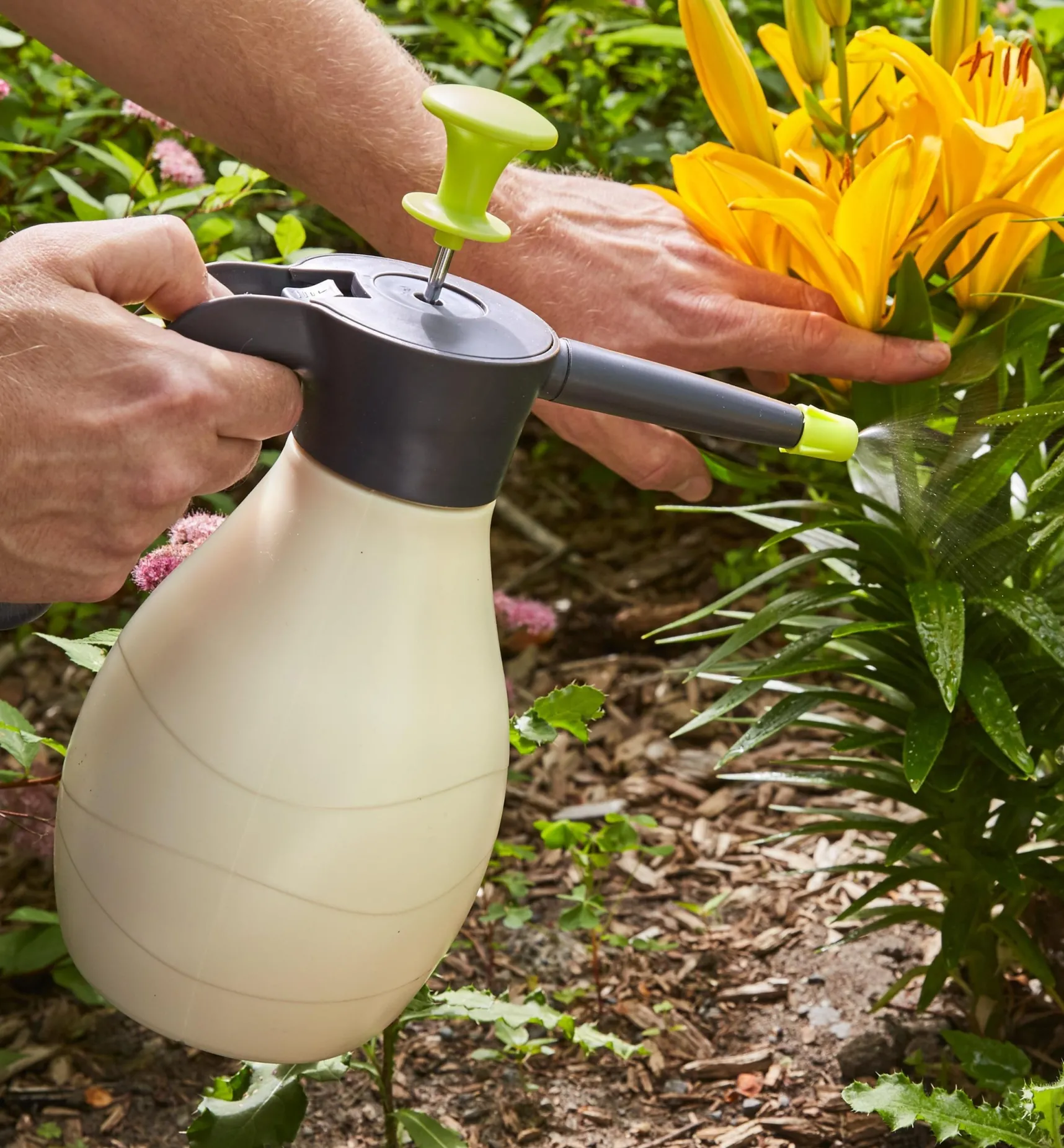 Discount Hand-Held 1.5 Litre Pressure Sprayer Garden Care