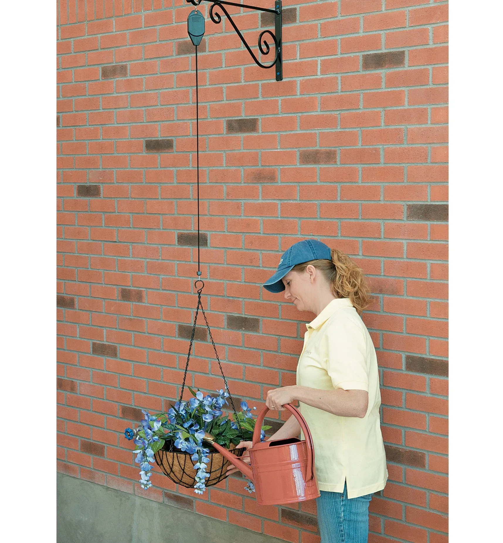 Discount Hanging Basket Pulley Container Gardening