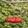 Clearance Hanging Hummingbird Feeder Birding