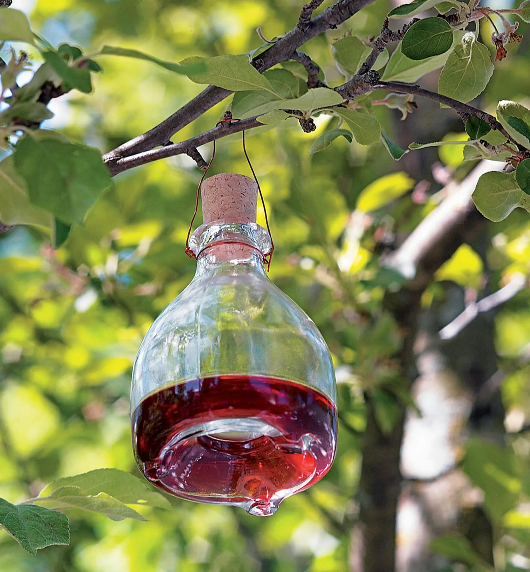 Hot Hanging Wasp Trap Pest Control