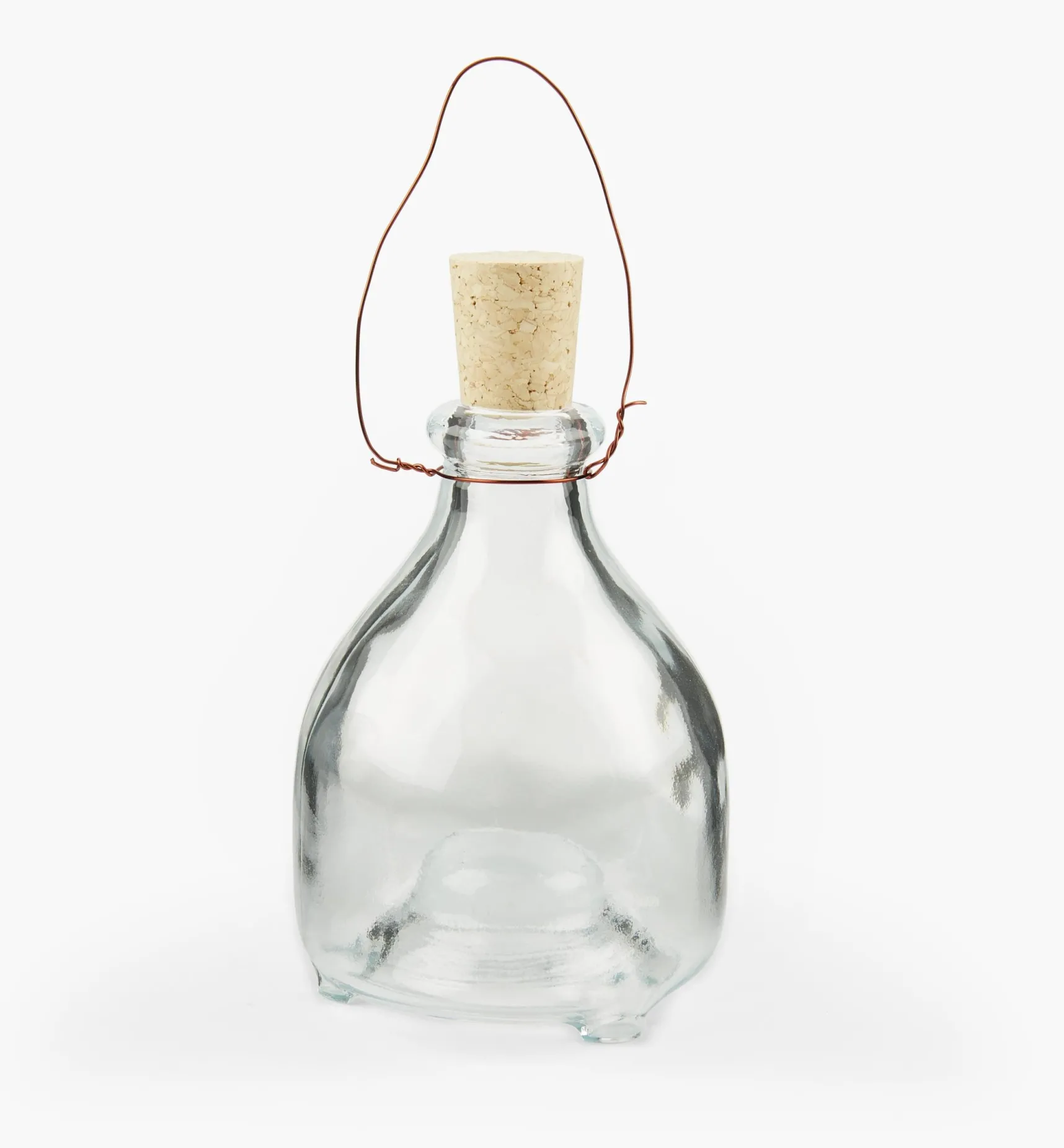 Hot Hanging Wasp Trap Pest Control