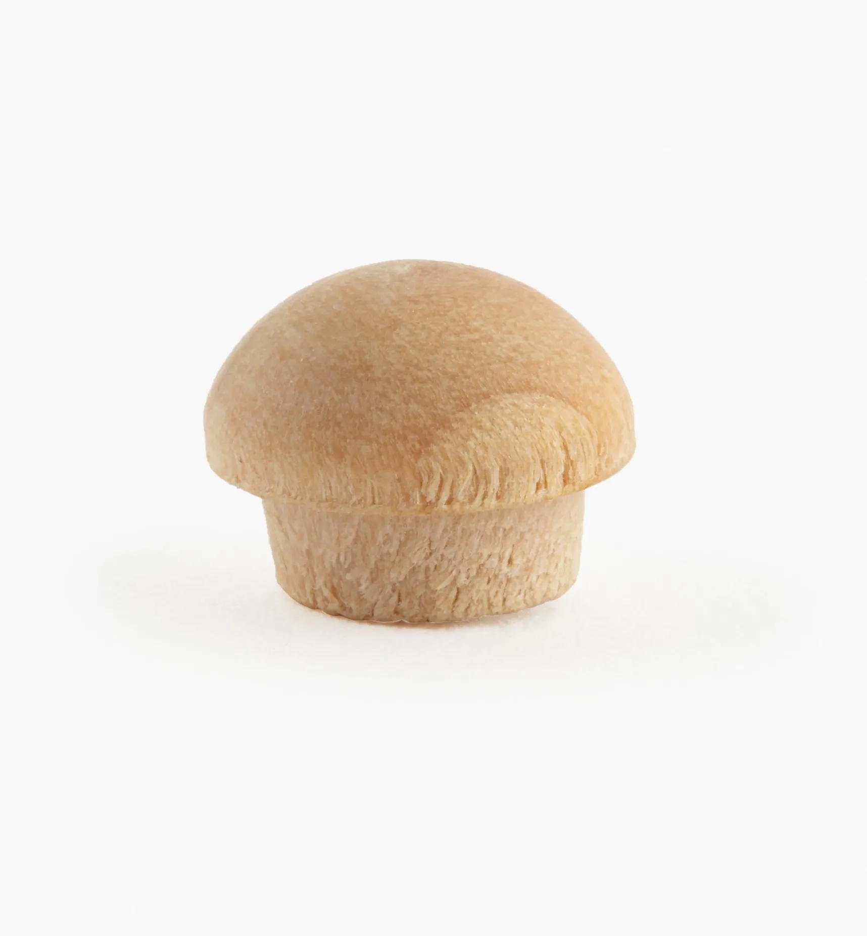 Clearance Hardwood Buttons Project Supplies