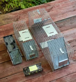 Sale Havahart Animal Traps Pest Control