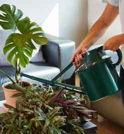 Hot Haws Plastic Watering Can Indoor Gardening