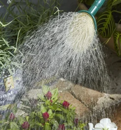 Hot Haws Plastic Watering Can Indoor Gardening