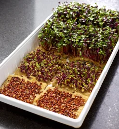 Hot Hemp-Fiber Grow Mats Seed Starting
