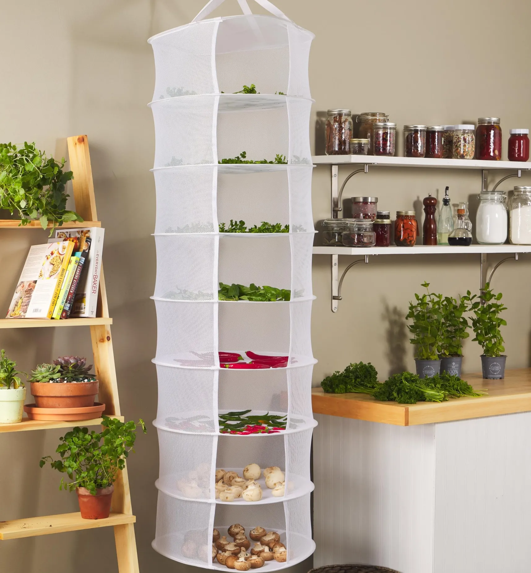 Clearance Herb Dryers Harvesting