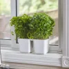 Best Herb Planter With Shears Indoor Gardening