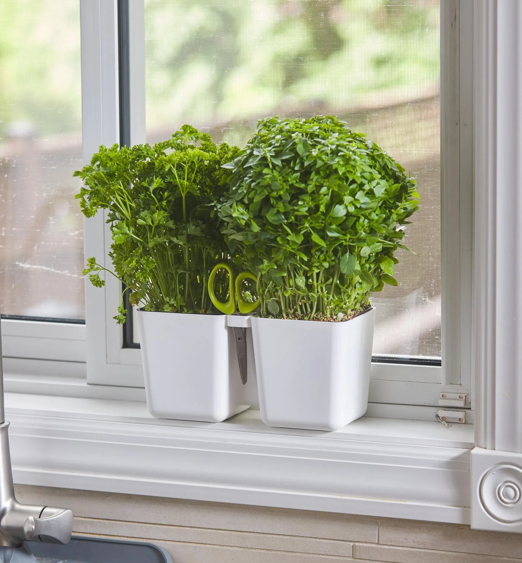 Best Herb Planter With Shears Indoor Gardening