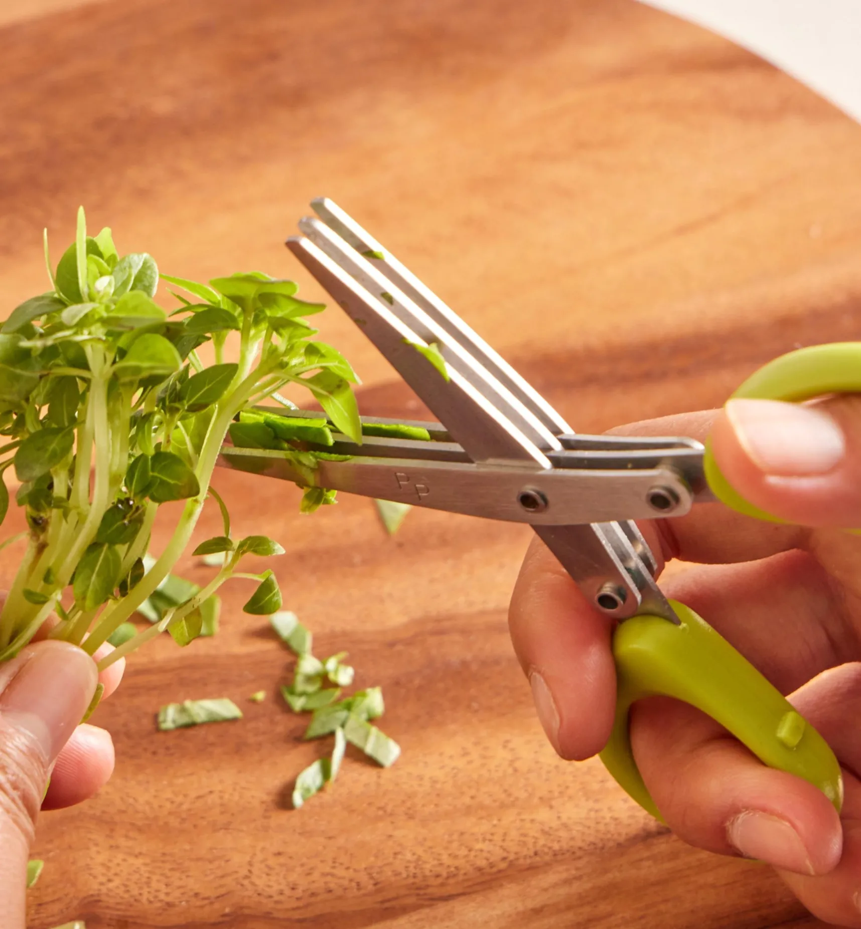 Best Herb Planter With Shears Indoor Gardening