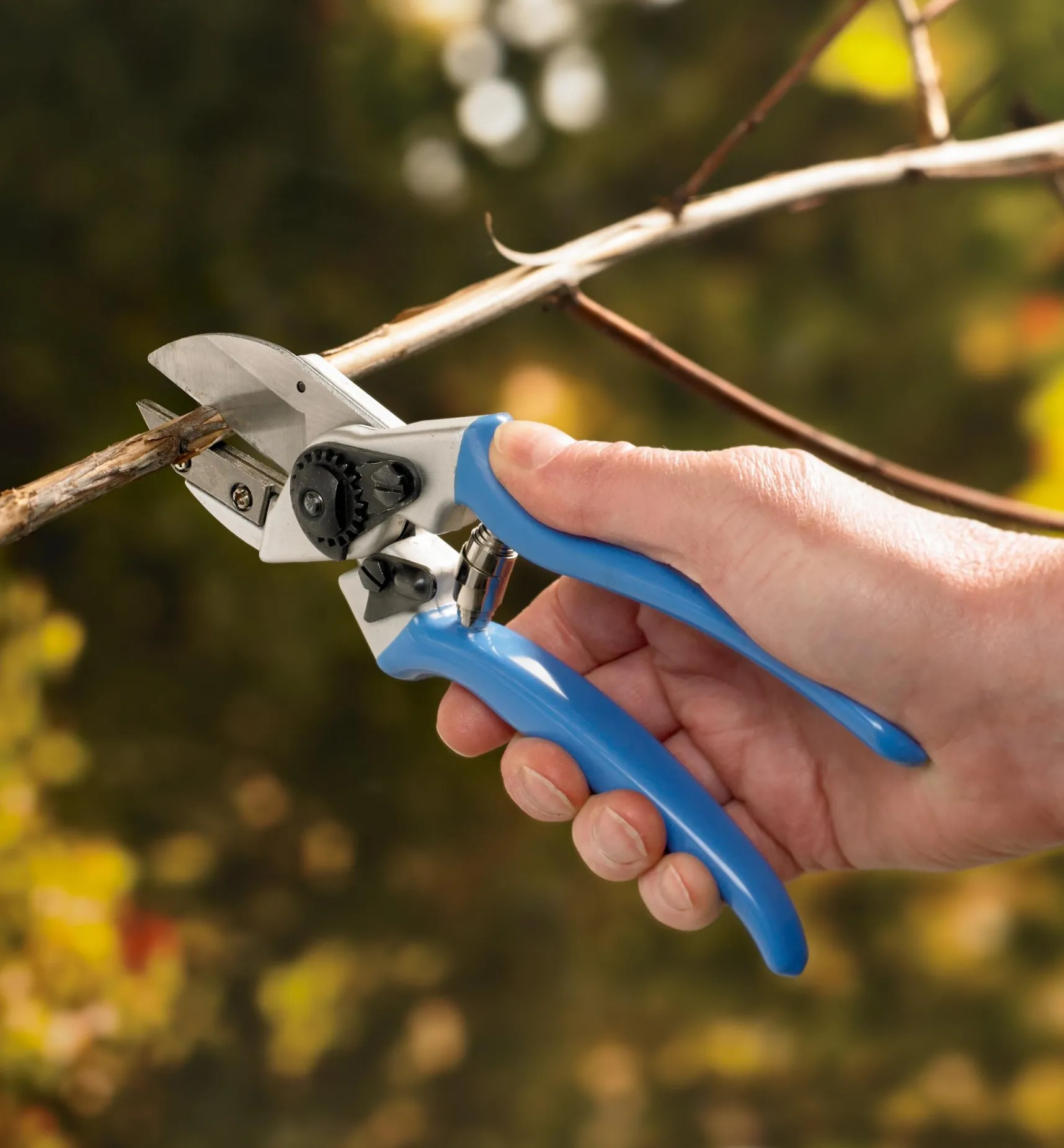 New High-Quality Anvil Pruner Pruners