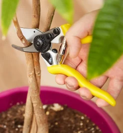 High-Quality Bypass Pruner Pruners